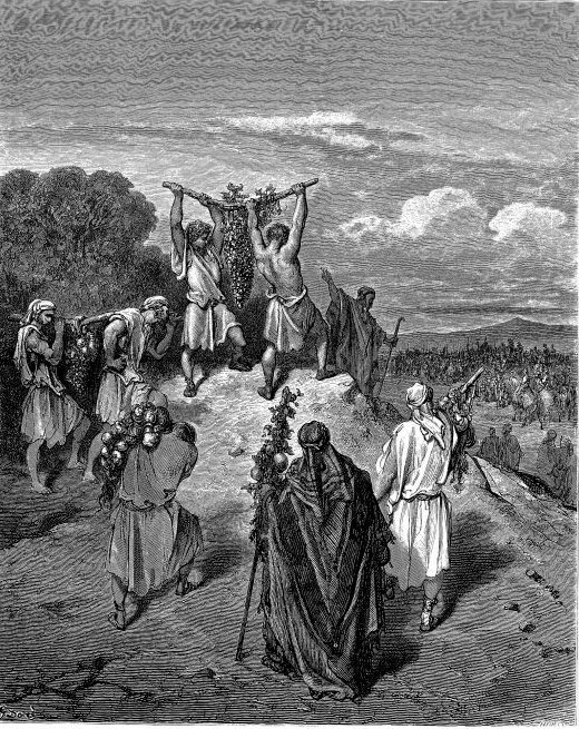 The twelve spies return from Canaan carrying a giant cluster of grapes.