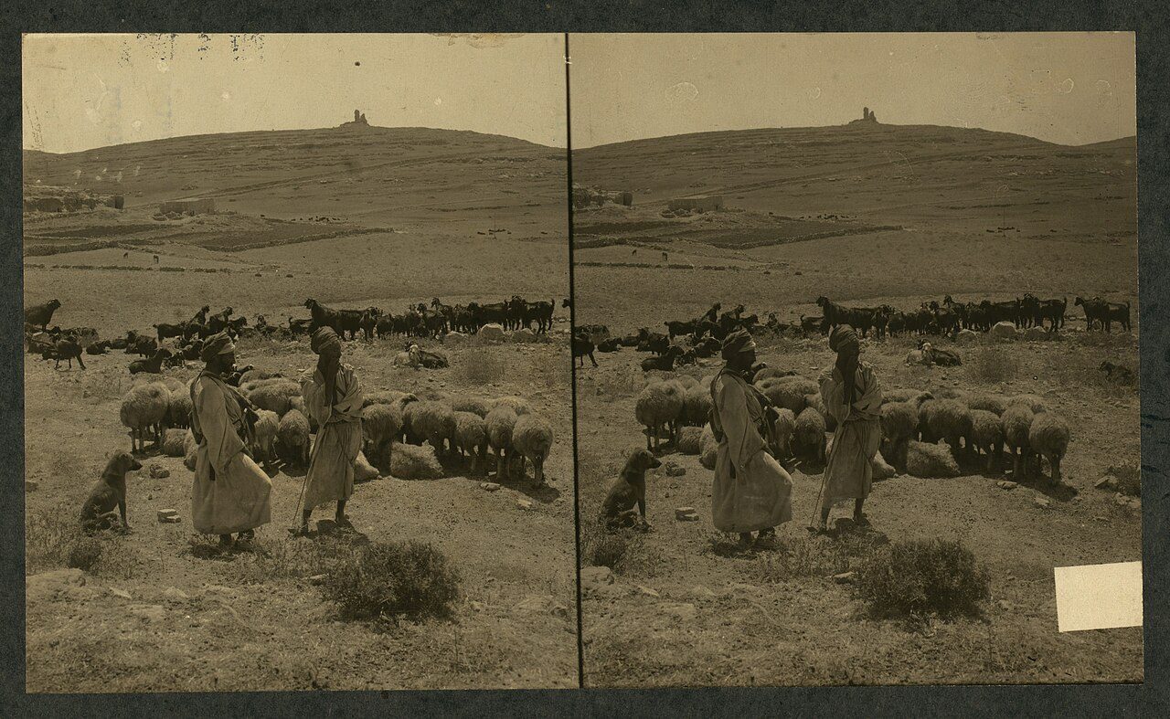 The Beth-zur battlefield site north of Hebron, photographed in 1913