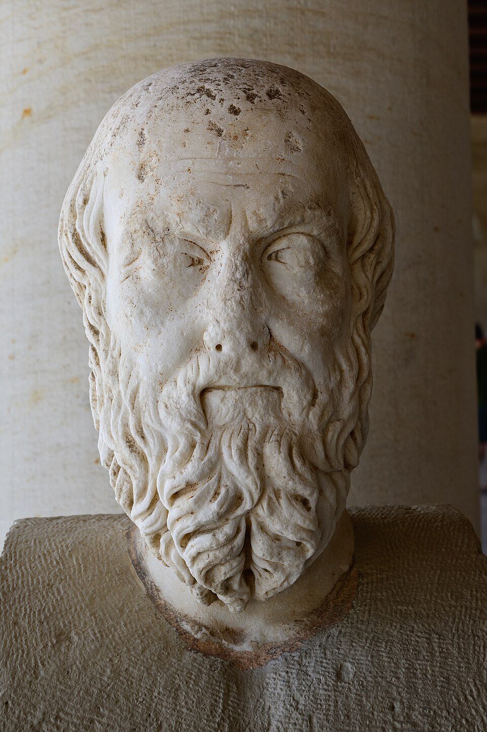 A carved marble portrait head identified as Herodotus.